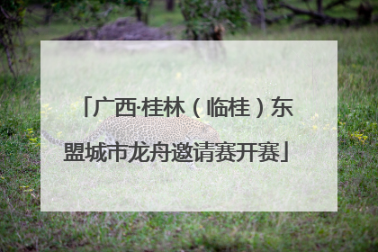 广西·桂林（临桂）东盟城市龙舟邀请赛开赛