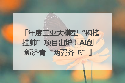 年度工业大模型“揭榜挂帅”项目出炉！AI创新济青“两翼齐飞”