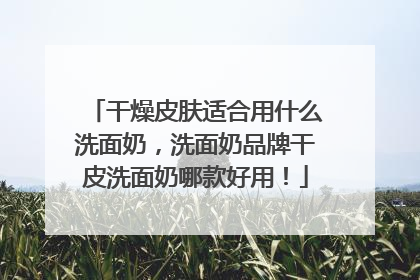 干燥皮肤适合用什么洗面奶，洗面奶品牌干皮洗面奶哪款好用！