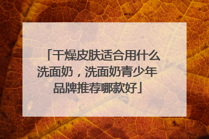 干燥皮肤适合用什么洗面奶，洗面奶青少年品牌推荐哪款好