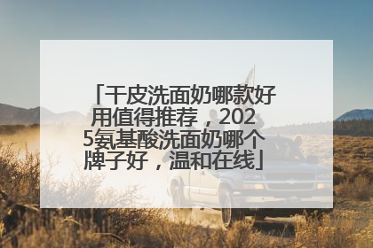 干皮洗面奶哪款好用值得推荐，2025氨基酸洗面奶哪个牌子好，温和在线