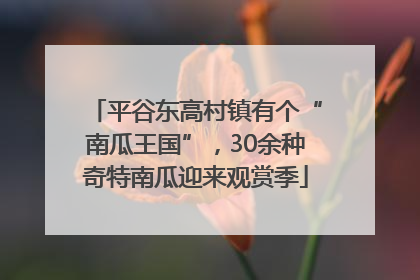 平谷东高村镇有个“南瓜王国”，30余种奇特南瓜迎来观赏季