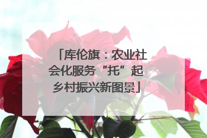 库伦旗：农业社会化服务“托”起乡村振兴新图景