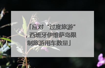 应对“过度旅游”，西班牙伊维萨岛限制旅游用车数量