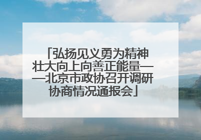 弘扬见义勇为精神 壮大向上向善正能量——北京市政协召开调研协商情况通报会