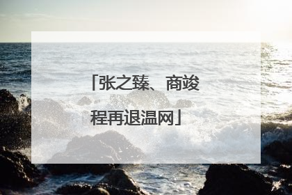 张之臻、商竣程再退温网