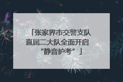 张家界市交警支队直属二大队全面开启“静音护考”