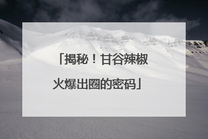 揭秘！甘谷辣椒火爆出圈的密码
