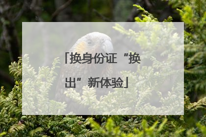 换身份证“换出”新体验
