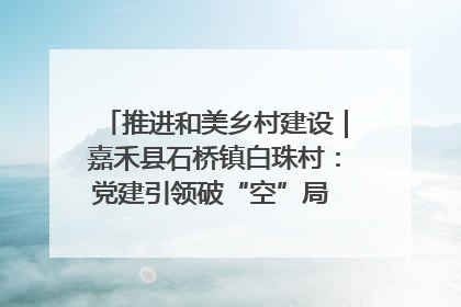 推进和美乡村建设｜嘉禾县石桥镇白珠村：党建引领破“空”局 乡贤聚力绘就新图景