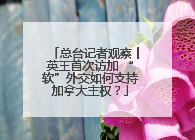 总台记者观察丨英王首次访加 “软”外交如何支持加拿大主权？