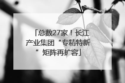 总数27家！长江产业集团“专精特新”矩阵再扩容