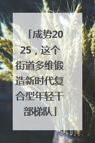 成势2025，这个街道多维锻造新时代复合型年轻干部梯队