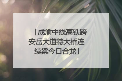 成渝中线高铁跨安岳大道特大桥连续梁今日合龙