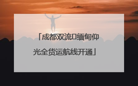 成都双流⇌缅甸仰光全货运航线开通