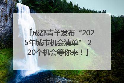 成都青羊发布“2025年城市机会清单” 220个机会等你来！