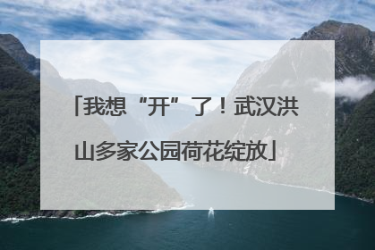 我想“开”了！武汉洪山多家公园荷花绽放