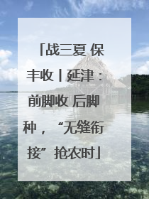 战三夏 保丰收丨延津：前脚收 后脚种，“无缝衔接”抢农时