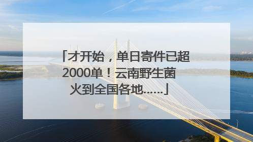 才开始，单日寄件已超2000单！云南野生菌火到全国各地……