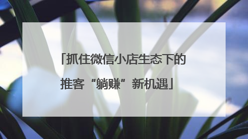 抓住微信小店生态下的推客“躺赚”新机遇
