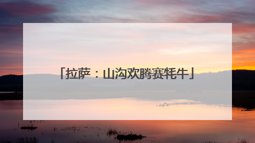 拉萨：山沟欢腾赛牦牛