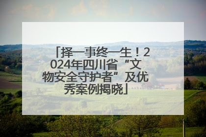 择一事终一生！2024年四川省“文物安全守护者”及优秀案例揭晓