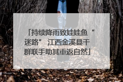 持续降雨致娃娃鱼“迷路” 江西金溪县干群联手助其重返自然