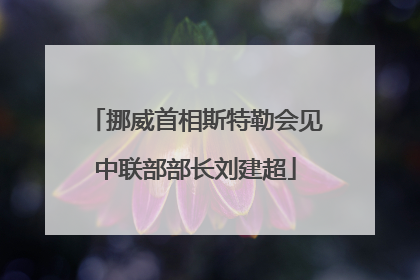 挪威首相斯特勒会见中联部部长刘建超