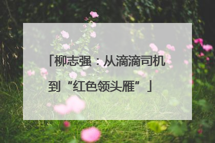 柳志强：从滴滴司机到“红色领头雁”