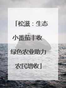 松滋：生态小番茄丰收 绿色农业助力农民增收