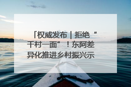 权威发布｜拒绝“千村一面”！东阿差异化推进乡村振兴示范片区建设