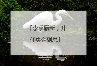 李季履新，升任央企副总