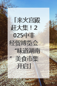 来火宫殿赶大集！2025中非经贸博览会“味道湖南”美食市集开启