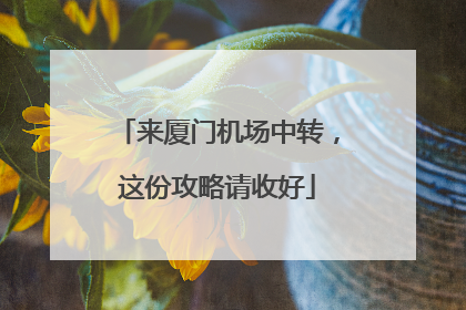 来厦门机场中转，这份攻略请收好