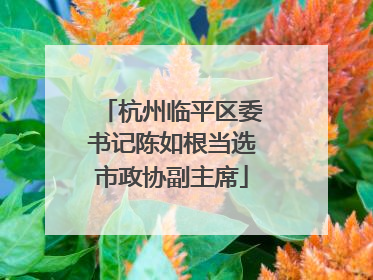 杭州临平区委书记陈如根当选市政协副主席