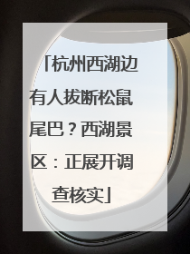 杭州西湖边有人拔断松鼠尾巴？西湖景区：正展开调查核实