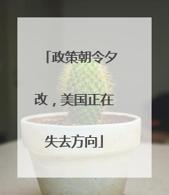 政策朝令夕改，美国正在失去方向