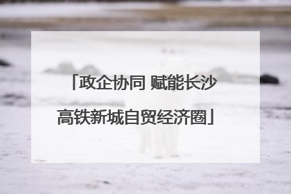 政企协同 赋能长沙高铁新城自贸经济圈