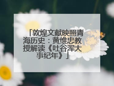 敦煌文献映照青海历史：黄维忠教授解读《吐谷浑大事纪年》