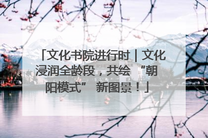 文化书院进行时｜文化浸润全龄段，共绘 “朝阳模式” 新图景！