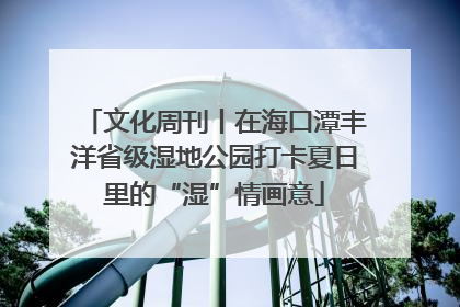 文化周刊丨在海口潭丰洋省级湿地公园打卡夏日里的“湿”情画意