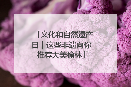 文化和自然遗产日｜这些非遗向你推荐大美榆林