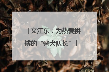 文江东：为热爱拼搏的“警犬队长”