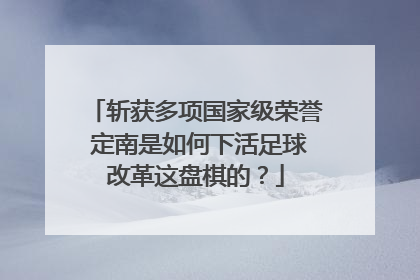 斩获多项国家级荣誉 定南是如何下活足球改革这盘棋的？