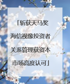 斩获天马奖 海信视像投资者关系管理获资本市场高度认可