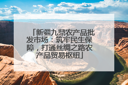 新疆九鼎农产品批发市场：筑牢民生保障，打通丝绸之路农产品贸易枢纽