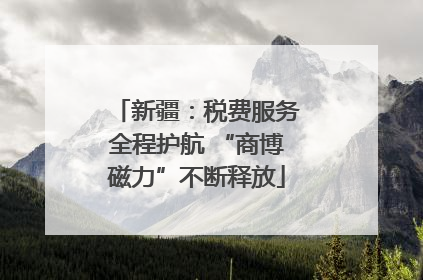 新疆：税费服务全程护航 “商博磁力”不断释放
