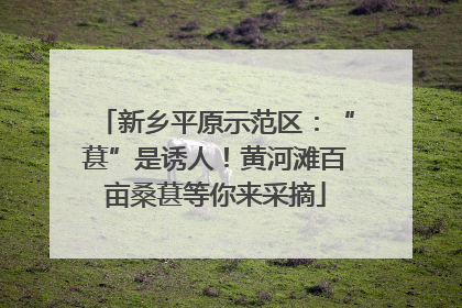 新乡平原示范区：“葚”是诱人！黄河滩百亩桑葚等你来采摘