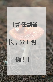 新任副省长，分工明确！