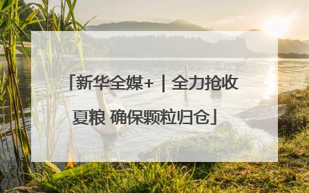 新华全媒+｜全力抢收夏粮 确保颗粒归仓